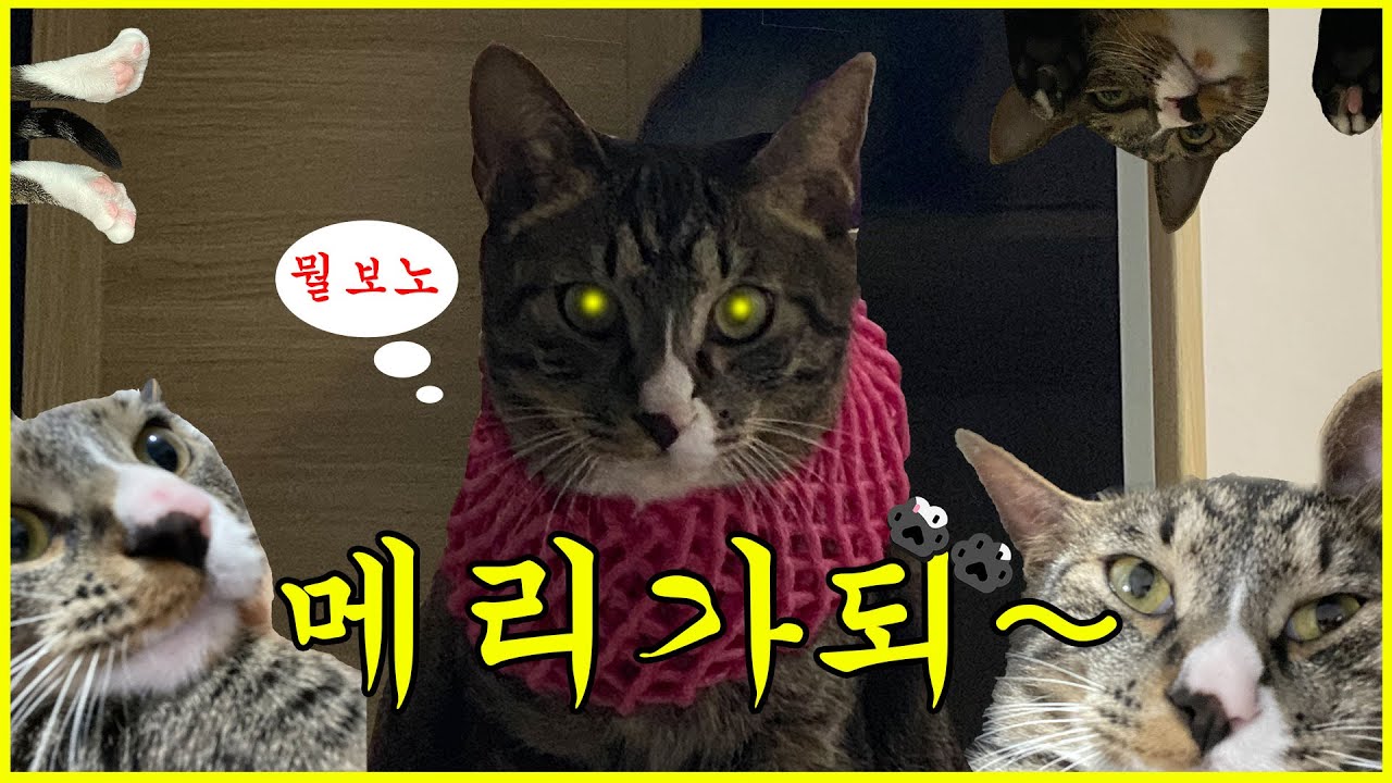 씨드런수강생작품