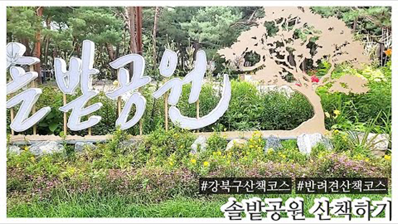 씨드런수강생작품