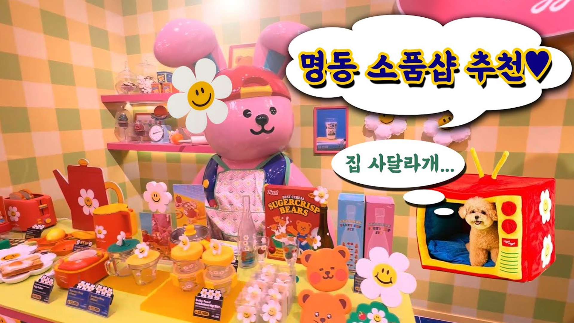 씨드런수강생작품