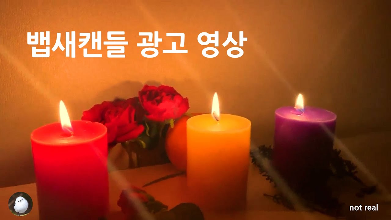 씨드런수강생작품