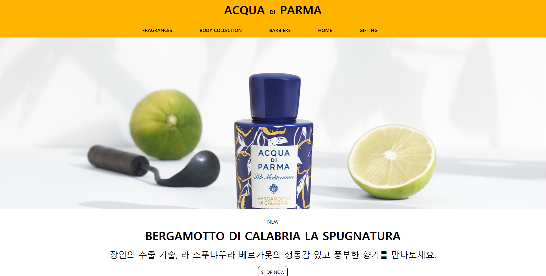 씨드런수강생작품